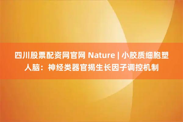 四川股票配资网官网 Nature | 小胶质细胞塑人脑：神经类器官揭生长因子调控机制